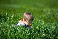 Un estudio apunta que los ni&ntilde;os son m&aacute;s felices y sanos cuando pasan tiempo en la naturaleza