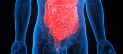 Un estudio confirma que los antibi&oacute;ticos aumentan el riesgo de c&aacute;ncer de colon