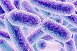 Un estudio investiga el potencial del microbioma intestinal para alterar la seguridad y la eficacia de los m