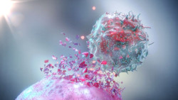 Un mecanismo celular que vincula la autofagia y la apoptosis podría potenciar la respuesta inmune contra el cáncer