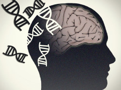 Un nuevo descubrimiento cuestiona la teor&iacute;a predominante para tratar el Alzheimer