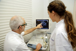 Un nuevo modelo matem&aacute;tico explica los fallos en la fertilizaci&oacute;n in vitro y puede ayudar a mejorar la fertilidad