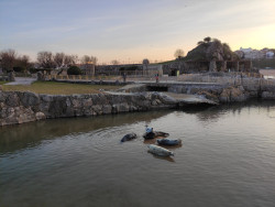 Un sí rotundo no sólo a mantener el mini Zoo de la Magdalena sino a reformularlo y hacer un refugio de animales.   Por Carlos Magdalena