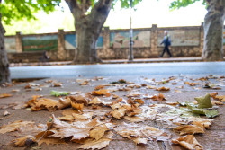 Un tiempo anticiclónico se abrirá paso este domingo pese a alertas por mareas y vientos en Galicia y el Mediterráneo