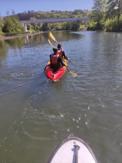 Un total de 800 personas participan desde hoy en las rutas en canoa y paddle surf por el r&iacute;o Saja-Besaya