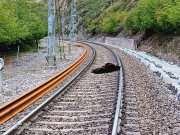 Un tren mercanc&iacute;as arrolla a un oso pardo  en Campoo de Enmedio