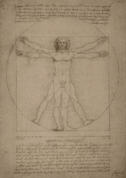 Una exposición acerca a la "curiosidad" de Leonardo da Vinci en la Plaza Porticada de Santander