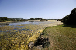 Una inversi&oacute;n de casi 47 millones restaurar&aacute; tres humedales en Cantabria hasta 2036