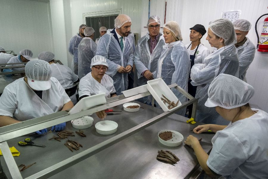 Una quincena de mujeres desempleadas de la comarca oriental se forman como sobadoras de anchoa