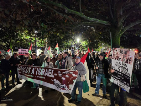 Unas 300 personas colapsán el Centro de la ciudad bajo el lema `Paremos la guerra en Palestina"