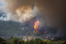 Unas 90.000 personas evacuadas o confinadas por los incendios de Madrid y &Aacute;vila