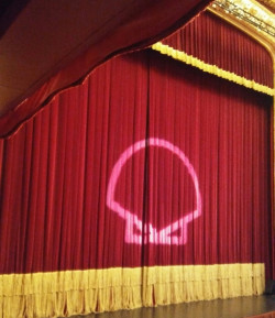 “V” DeVito, por Clara Miranda Carmena