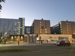 Valdecilla, en la final de los `Best in Class`, con 17 candidaturas