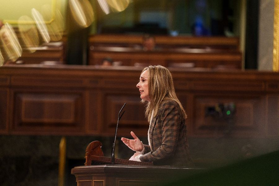 Vox propone rebajar de 14 a 12 la edad penal y acusa al PSOE de "pervertir" a los niños españoles