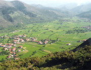 &iexcl;Y pari&oacute; un rat&oacute;n!   Por Pedro Arce